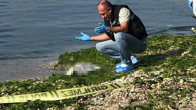 Beylikdüzü'nde korkunç olay ! Kıyıya vurdu...