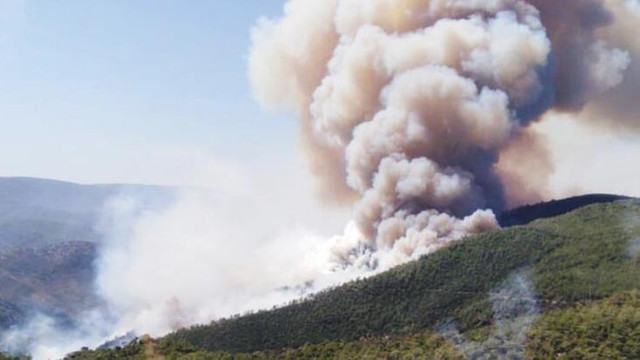 Ciğerlerimiz yandı: İzmir'de 500 hektarlık orman yangını