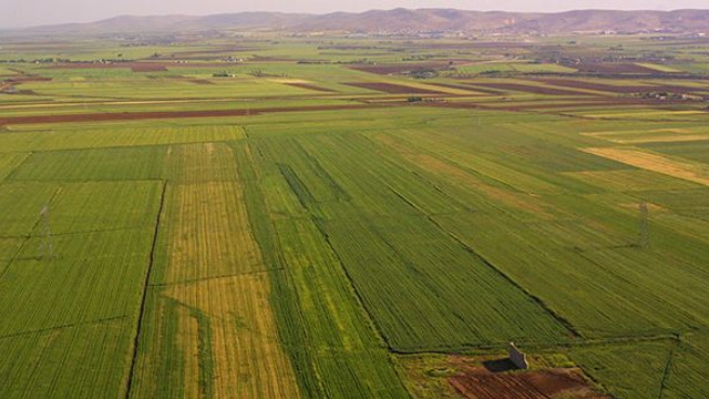 Hazine arazileri yarı fiyatına satışa çıktı