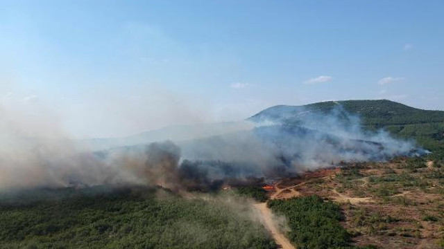 Keşan'daki orman yangını saatler sonra söndürüldü