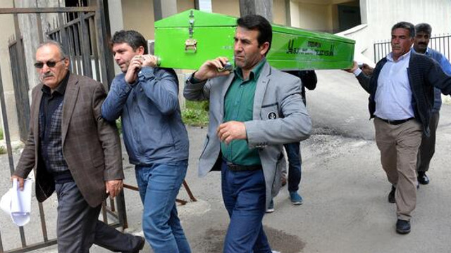 Katil ağaç kovuğundan çıktı !