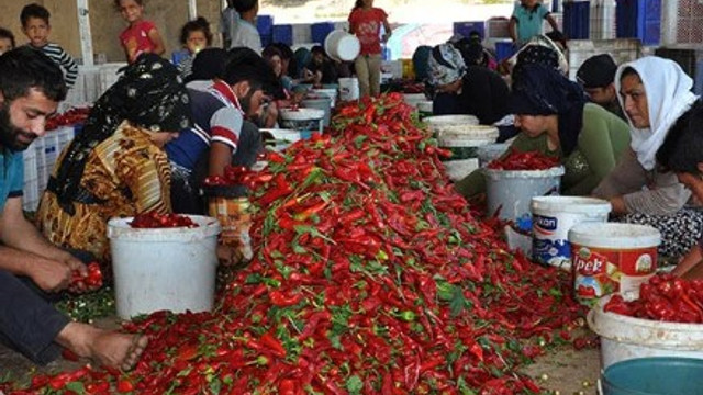 ''Biber kimin'' tartışması iki partiyi karşı karşıya geitrdi