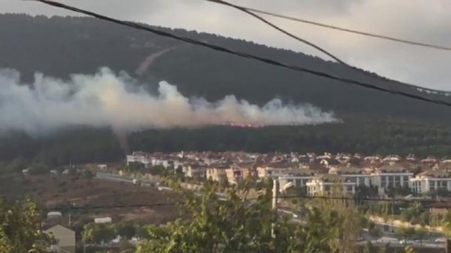 Pendik'te orman yangını !