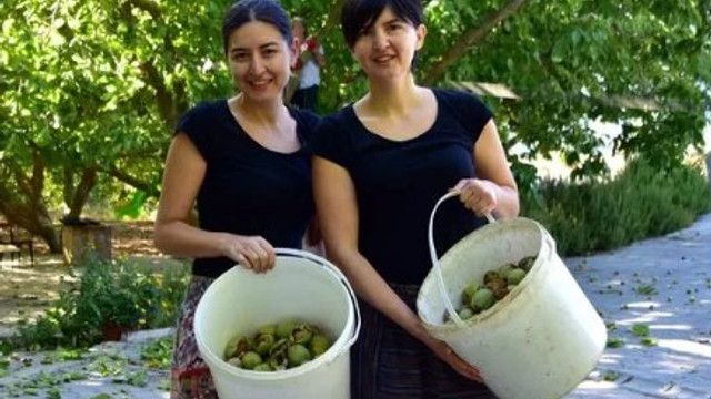 Kariyerlerinden Vazgecip Ceviz Ureticisi Oldular Calisma Hayati