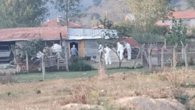 6 bin tavuk ölüsü bulunmuştu... Karantinaya alındı