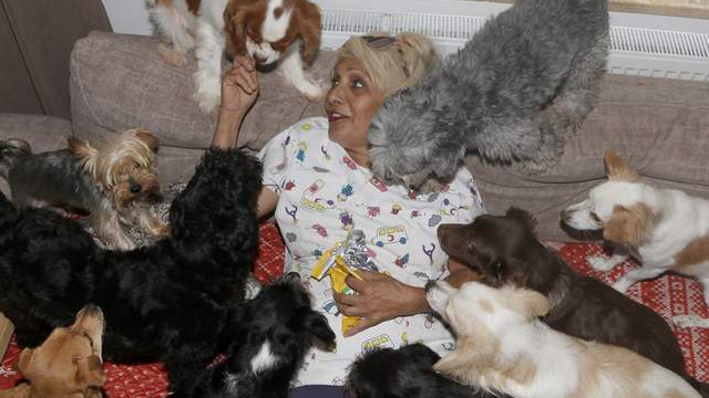 Varını yoğunu satıp mirasını köpeklere bırakacak