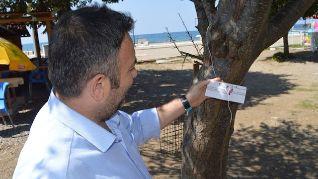 Kapı bulunamayınca, ağaçlara mühür vuruldu!