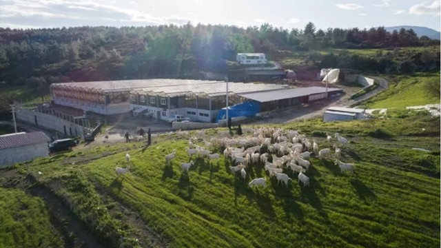 Kızı için kurduğu şirketle zincir marketlere kadar girdi!