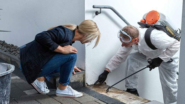 Bocek Ilaclama Istanbul Fiyatlari Guncel