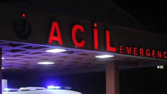 Domuz gribi kabusu geri döndü ! Uzmanlar uyardı: Antibiyotik kullanmayın