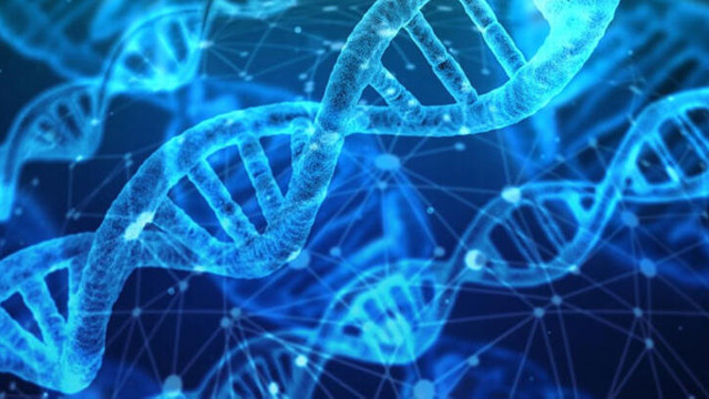 100 bin yeni nesil DNA kiti ihale açtı