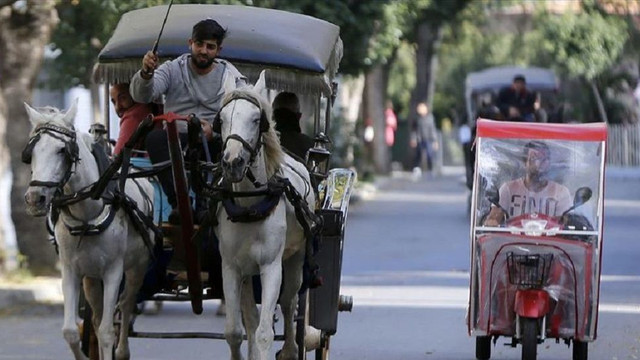 İBB Adalar'daki at ve faytonları almak için harekete geçti