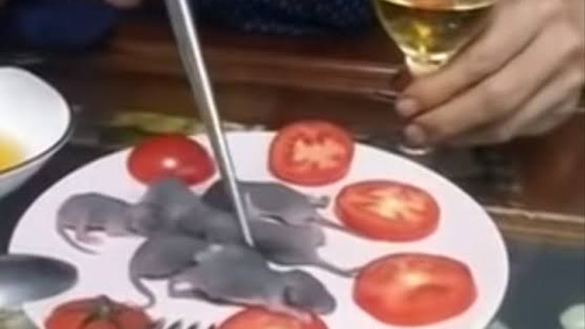 Dikkat ! Mideniz kaldırmayabilir! Yavru fareleri canlı canlı yedi