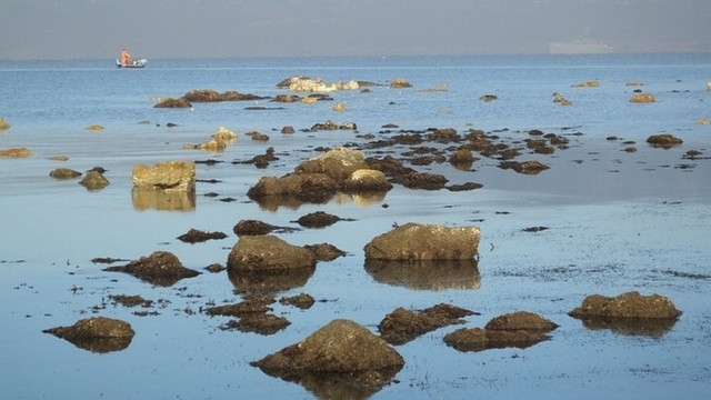 Elazığ'da depremin ardından Balıkesir'de deniz çekildi