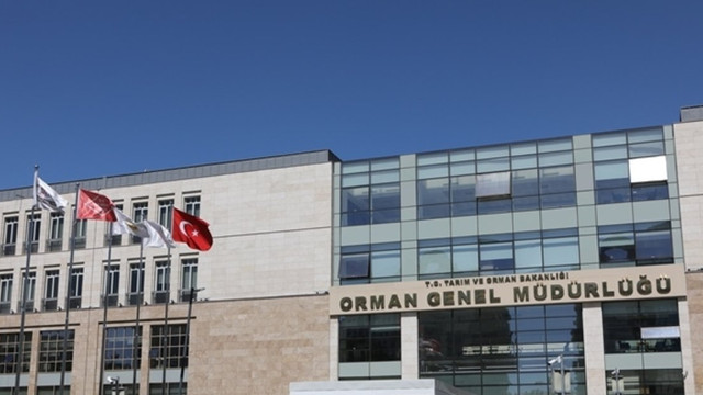 Orman Genel Müdürlüğü KPSS işçi alacak