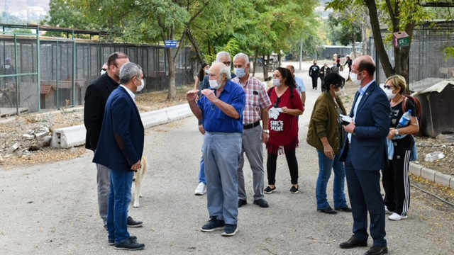 Ankara'da Büyükşehir hayvanseverlerle el ele