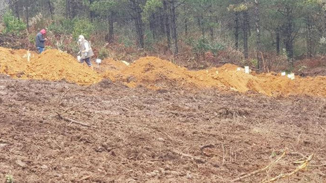 5 ildeki ölüm sayıları kafaları karıştırdı!