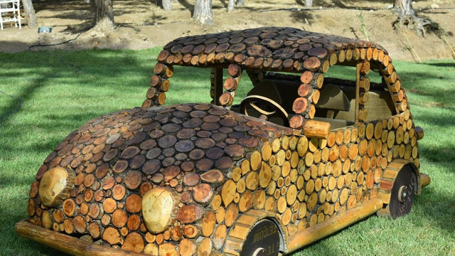 Başkent'te atık ağaçlar sanat eserine dönüşüyor