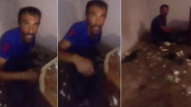 Sosyal medyayı ayağa kaldıran hayvan katliamı! İşkence yaparak öldürdü