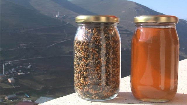 Anzer balının fiyatı belli oldu!