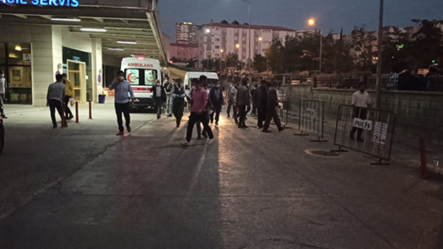 Ceviz toplamak için çıktı, düşerek hayatını kaybetti