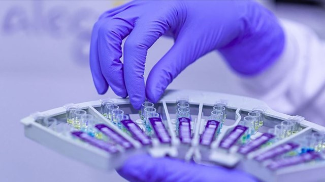 Avusturya ve Belçika'ya korona şoku! 2 bakan koronavirüse yakalandı