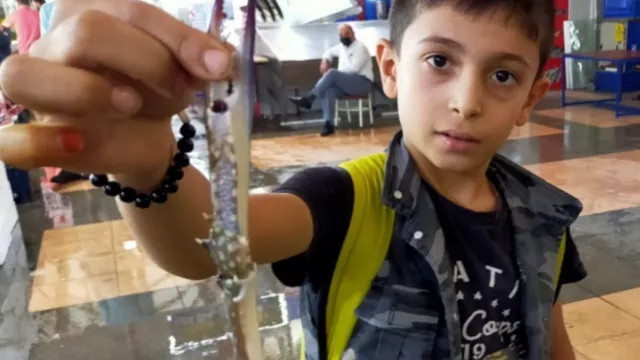 Kahramanmaraş'ta tanesi 10 lira olan yengece büyük ilgi