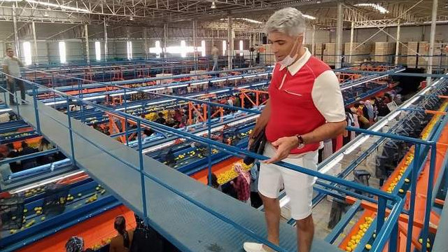 Boris Volfman, “Portakal ve mandalinada ihracat rekoru kırılıyor”