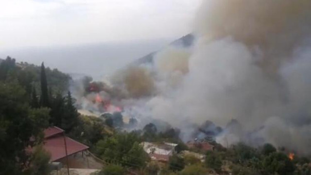 Mersin'de yerleşim yeri yakınında orman yangını