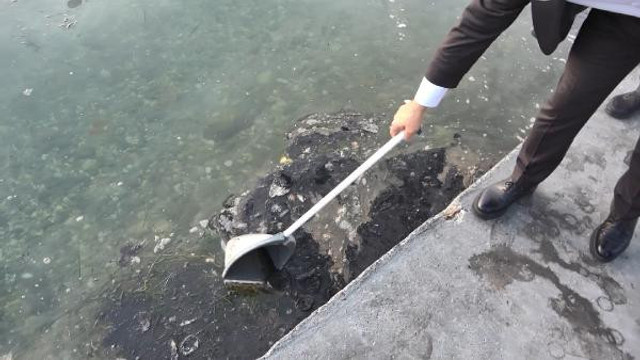 Büyükçekmece sahilinde çevre felaketi