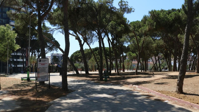 ''Yeşil Odaklı Kartal'' için çalışmalar devam ediyor