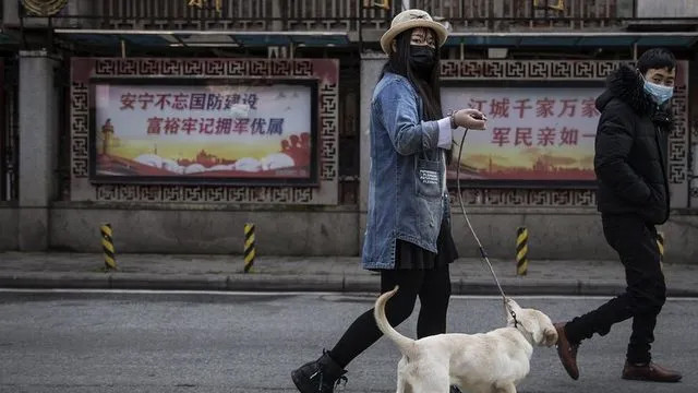 Kan donduran karar! Yasağı 3 kez ihlal edenlerin köpeği öldürülecek