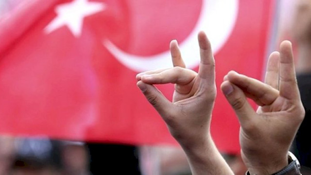 Fransa ve Almanya’dan sonra Hollanda'da Ülkücüleri yasaklıyor!