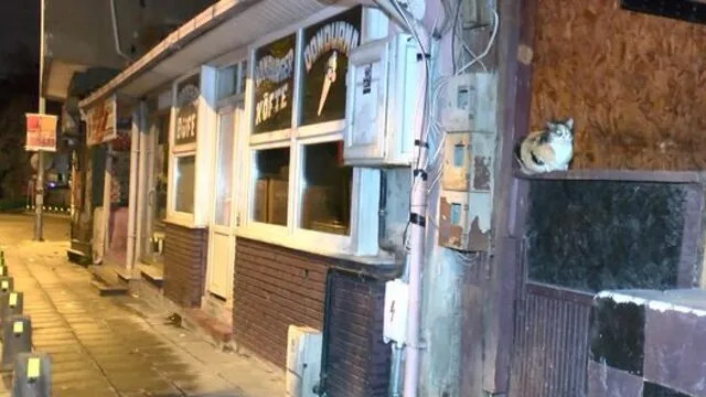 İğrenç olay! Yavru kediyi kesip yemeye götürürken yakalandı