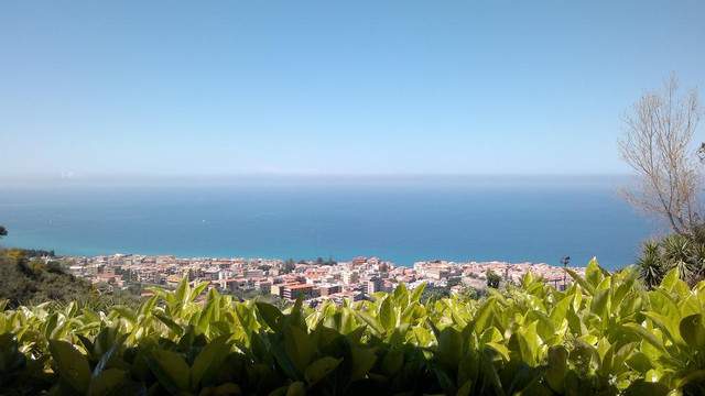 Belediye ''yalnızlar için'' müsteşar atadı