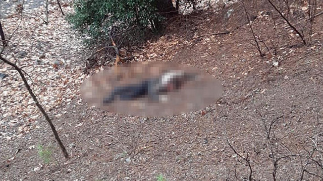 Kumalığı kabul etmeyen kadının başını taşla ezerek öldürdü