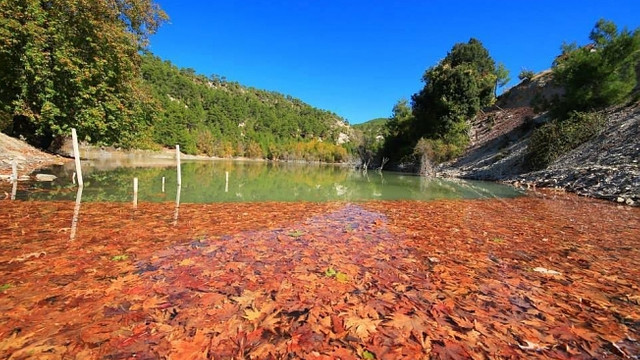 Doğa tahribatına yasal kılıf bulundu!
