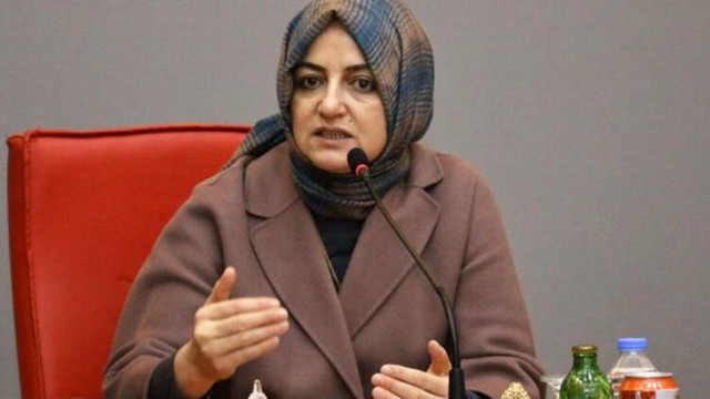 Cumhurbaşkanı Başdanışmanı'ndan çığ felaketiyle ilgili iddialara yanıt