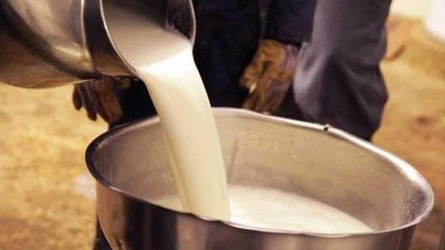 Süt üreticilerinden rahatlatan açıklama