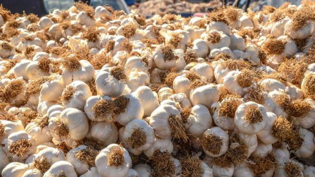 Koronavirüs salgını sarımsak fiyatını uçurdu!