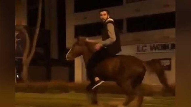 Tramvay yolunda ilginç görüntü: ''At beni kaçırdı''