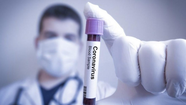 Bilim insanları iki tip corona virüsü keşfetti