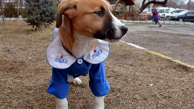Çocukların sınıf arkadaşı Fındık'tan iyi haber