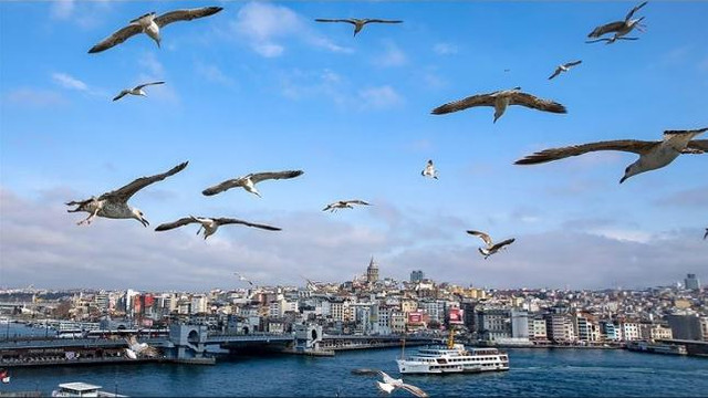 Bu habere sevinip kendinizi sakın sokağa atmayın! Havalar ısınıyor!