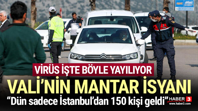 Antalya Valisi Isyan Etti Istanbul Dan Mantar Toplamaya Geldiler Guncel