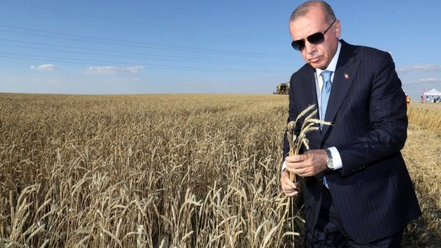 Erdoğan tohum talebini çözüme kavuşturdu