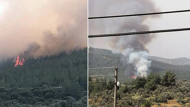 Muğla'da ormanlık alanda yangın paniği