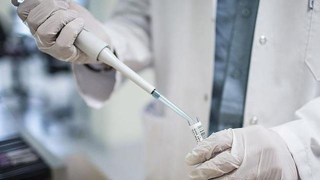 Koronavirüs tedavisinde ''ivermektin'' ilacı kullanılacak