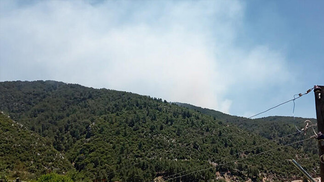 https://i.haber3.com/2/640/360/files/2020/5/25/5497165/antalya-kasta-korkutan-orman-yangini-MA5.jpg?v=a1590412030 https://i.haber3.com/2/640/360/files/2020/5/25/5497165/antalya-kasta-korkutan-orman-yangini-MA5.jpg?v=a1590412030
