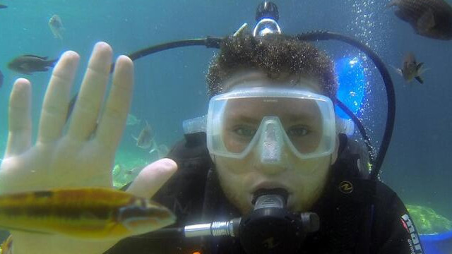 Muğla'da zehirli balık türleri endişe yaratıyor